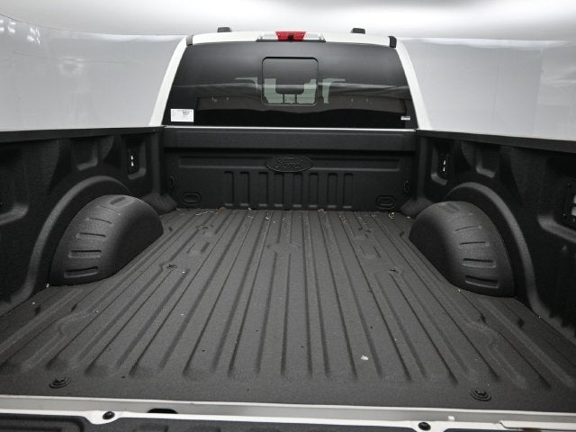 2025 Ford F-250 Platinum